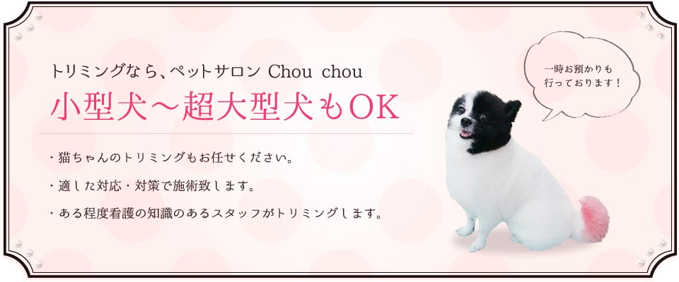 小型犬～超大型犬もOK