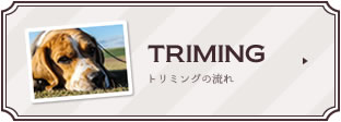 TRIMING トリミングの流れ